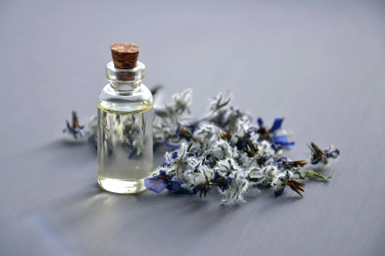 Dlaczego perfumy marki V Canto są jak zapachowe dzieła sztuki?